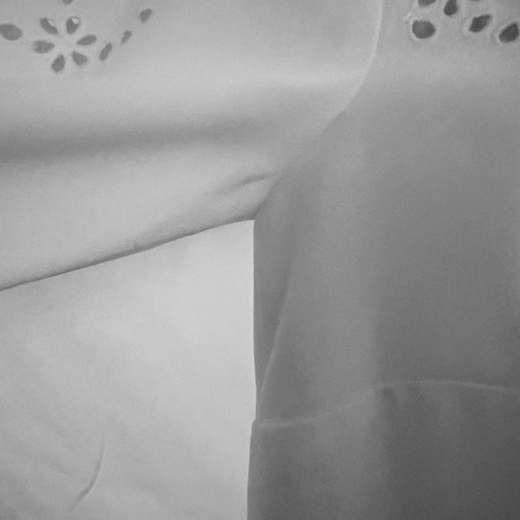 JCrew NWT Laser Cut Eyelet Dress - Picture 3 of 8